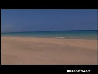 Thesandfly il spiaggia sexfiles